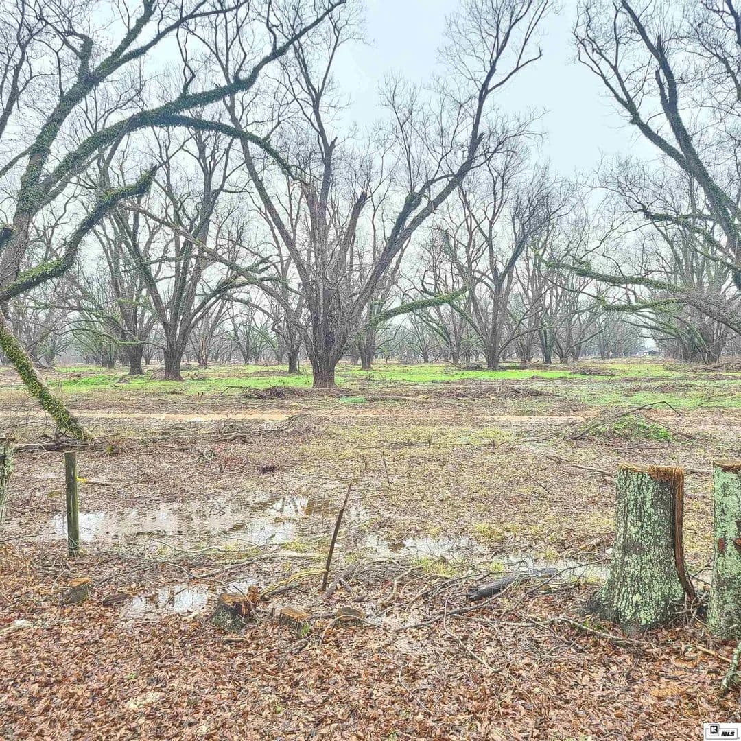 Vacant Land in Monroe - Monroe, Louisiana, 71203