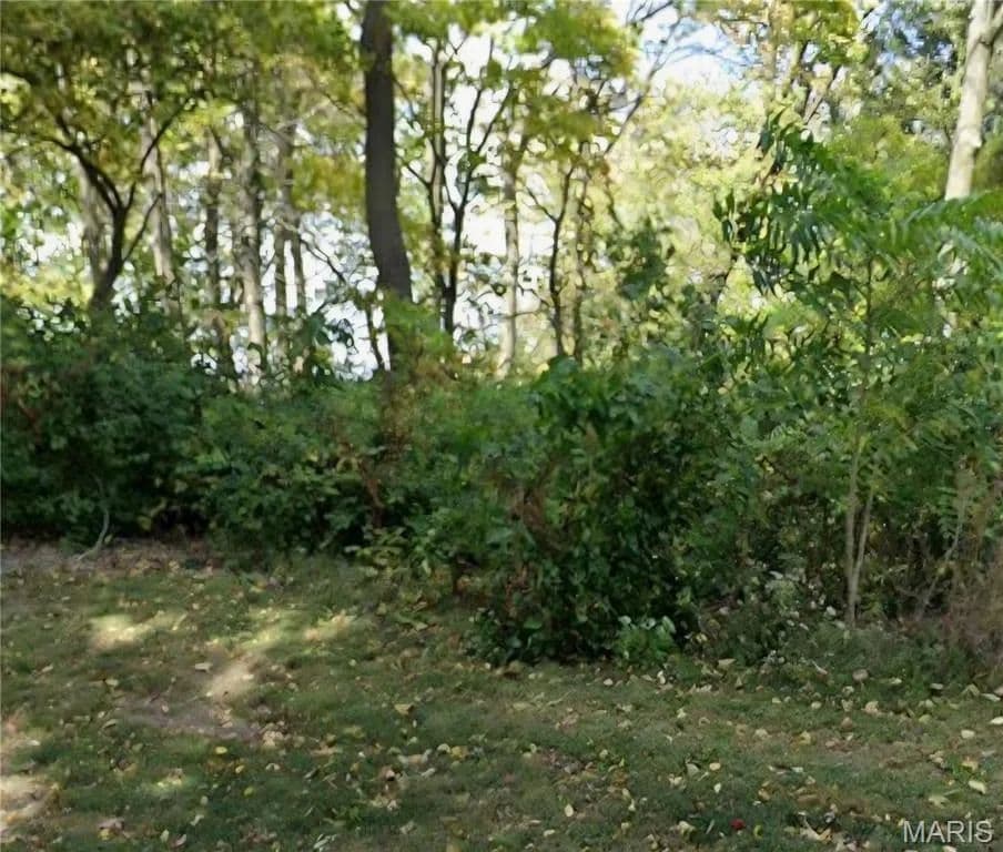 10.82 Acres of Land for Sale in Belleville, Illinois - Belleville, Illinois, 62223