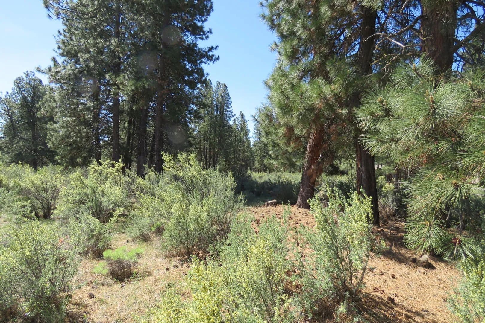 Lots & Land-Other in Chiloquin - Chiloquin, Oregon, 97624