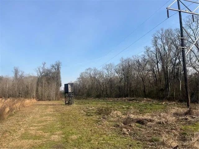 Lots & Land-Other in Mansura - Mansura, Louisiana, 71350