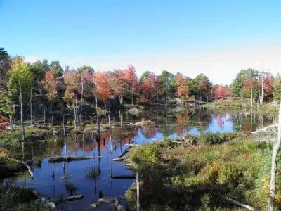 Wolf Lake Wilderness