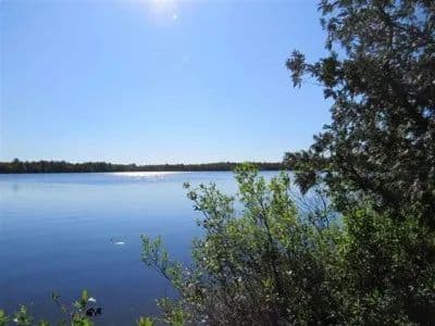 Privacy on Petticoat 1103030