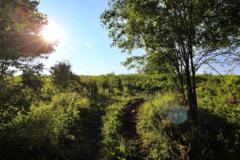 Lots & Land-Other in Grand Isle