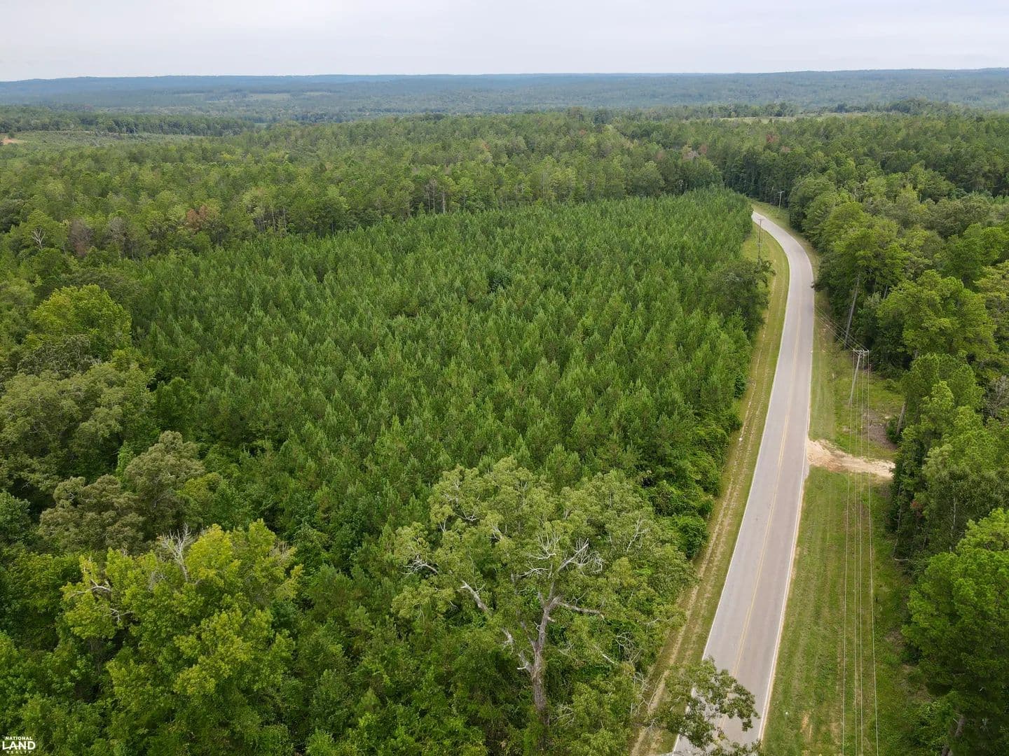 Walker Springs Homesite Tract A - Jackson, Alabama, 36545