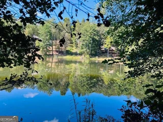 Vacant Land in Ellijay - Ellijay, Georgia, 30540