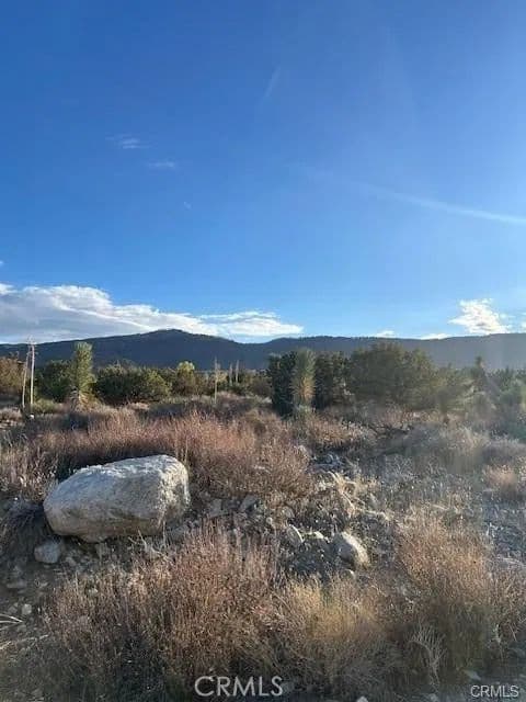 Vacant Land in Pinon Hills - Pinon Hills, California, 92372