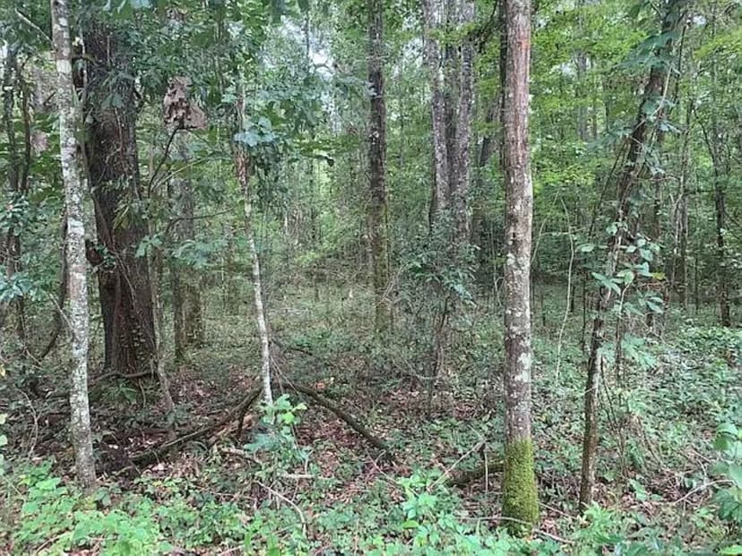 Property from 0 Tung Grove Road - KW