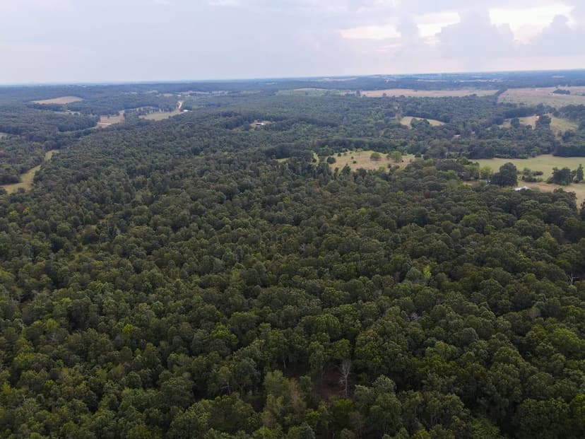 Property from Tract 2 Co Rd 347 - KW