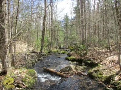Baker Brook Headwaters