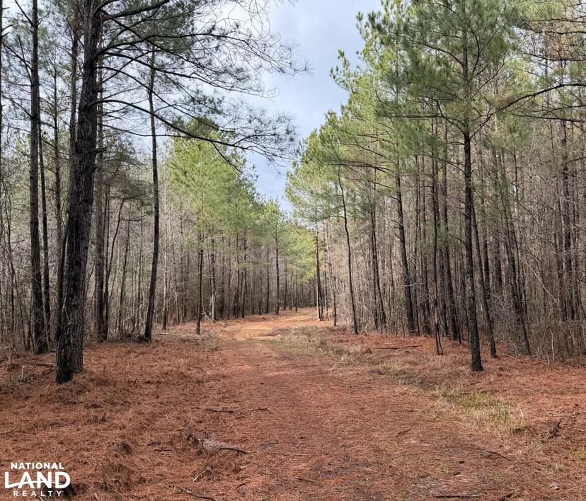 White Oak Hunting Plantation