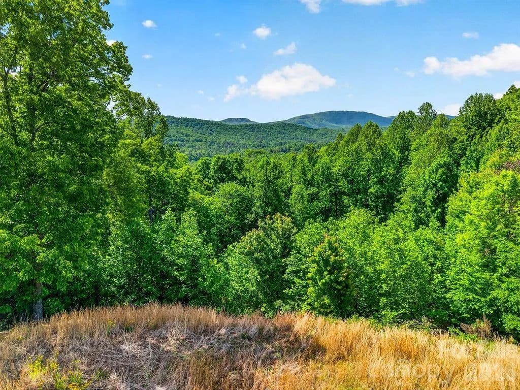 6.1 Acres of Land for Sale in Hendersonville, NC - Hendersonville, North Carolina, 28739