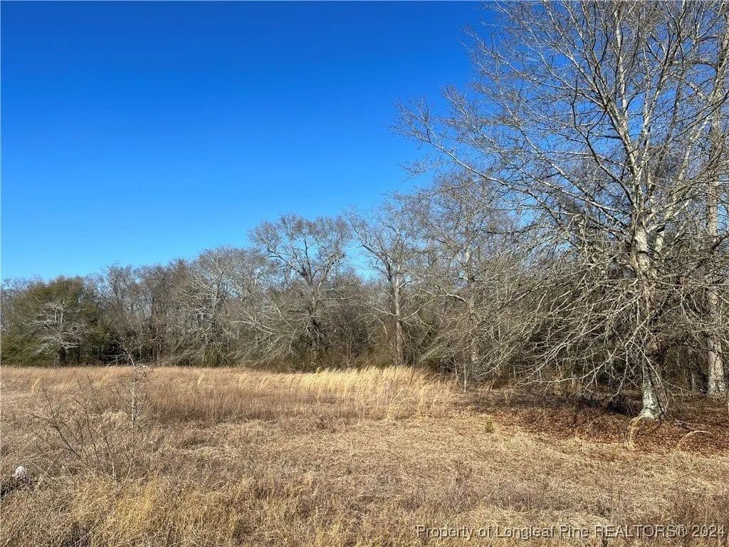Lots & Land-Other in Gibson - Gibson, North Carolina, 28343
