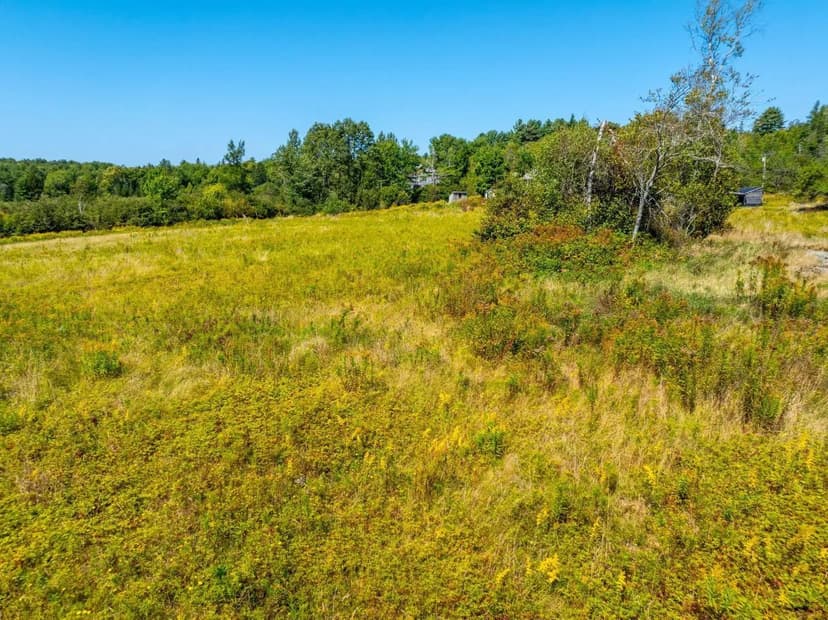 Land -Single Family Acreage in Marshfield