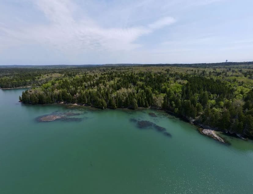 Land -Single Family Acreage in Machiasport