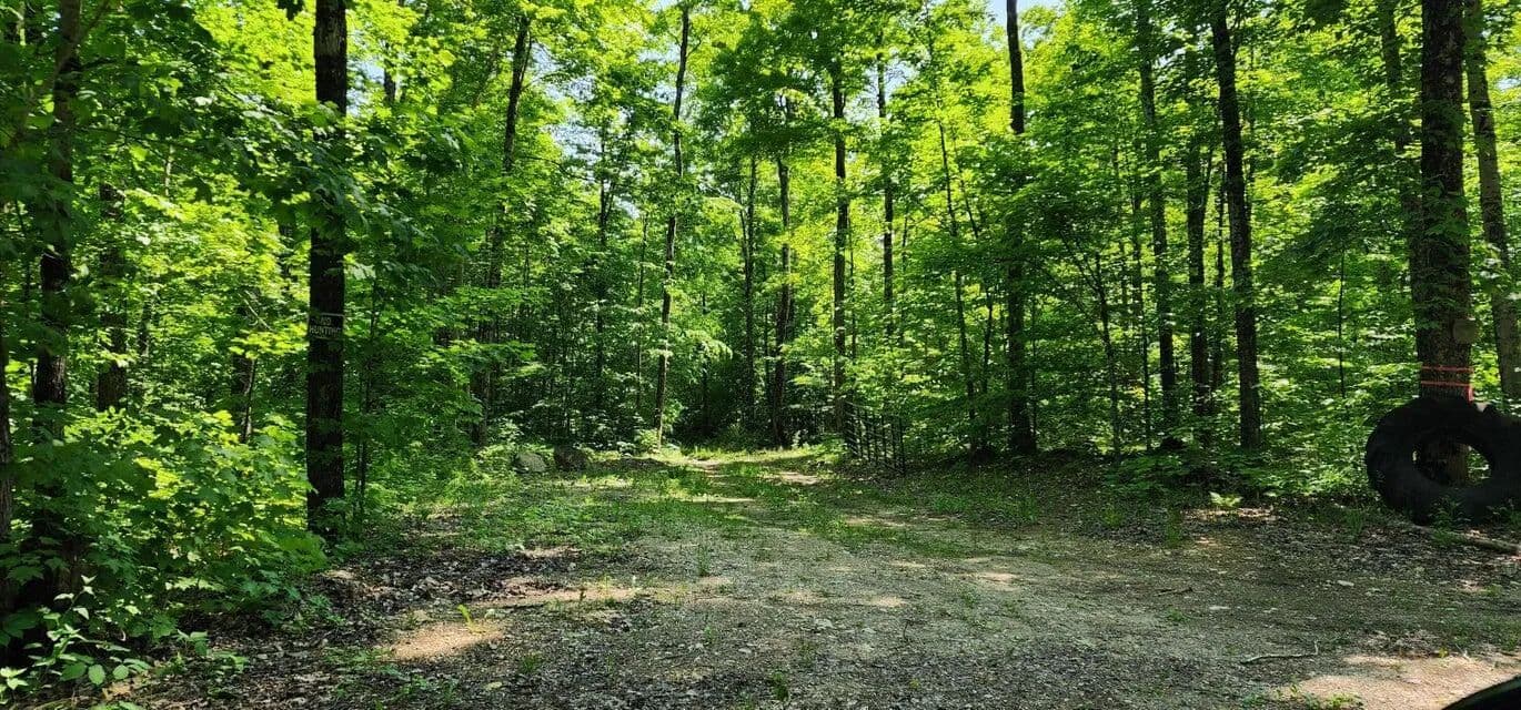 Vacant Land in Hessel - Hessel, Michigan, 49745