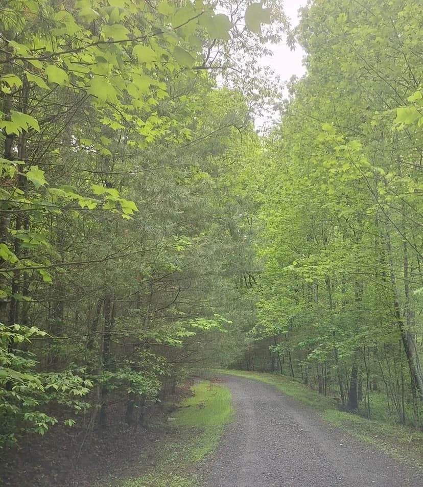 Lots & Land-Other in Blue Ridge
