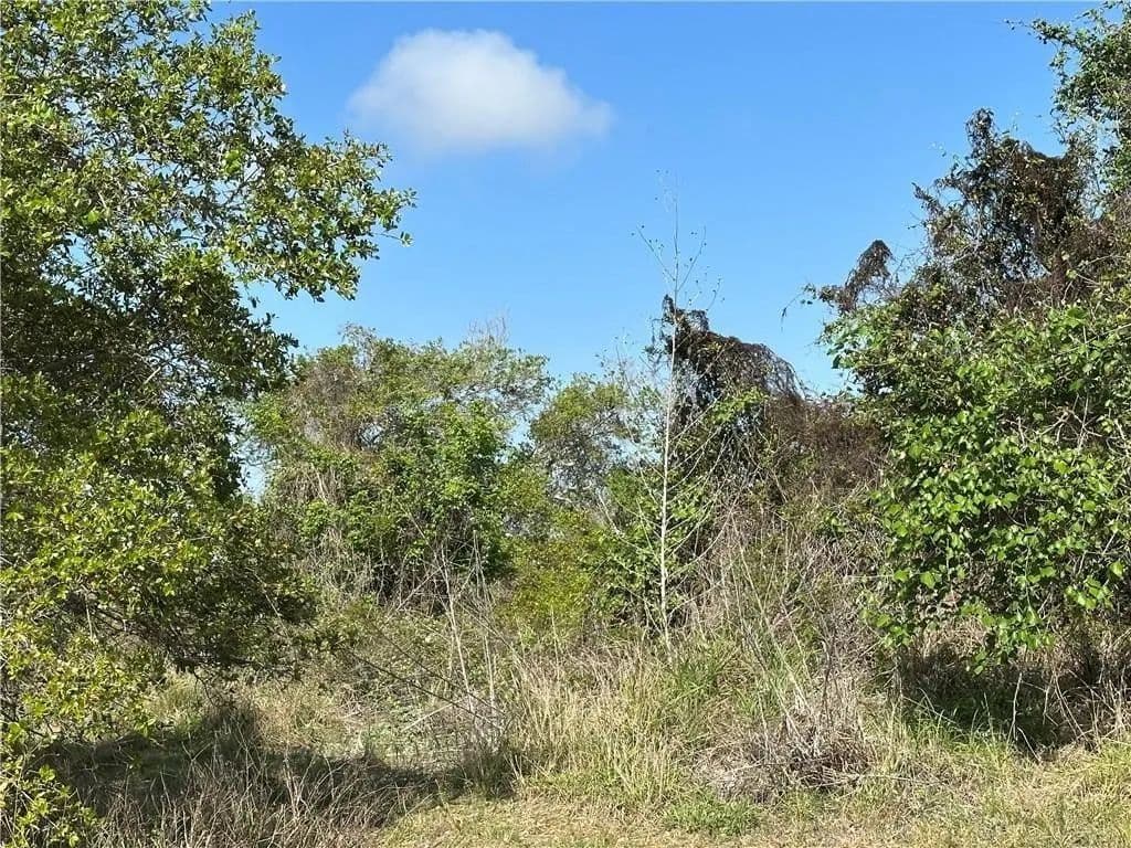 Property from 00 N Saunders - KW - Aransas Pass, Texas, 78336