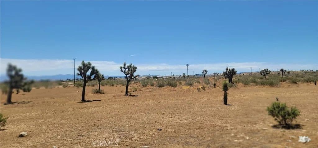 Vacant Land in Phelan - Phelan, California, 92392