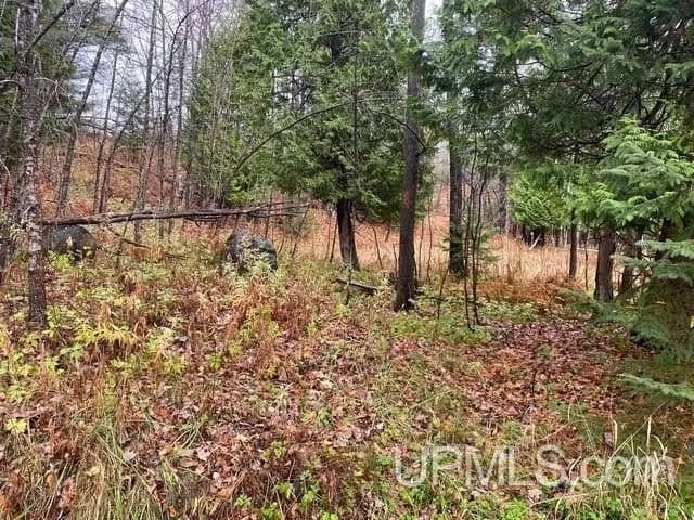 Lots & Land-Other in Marquette