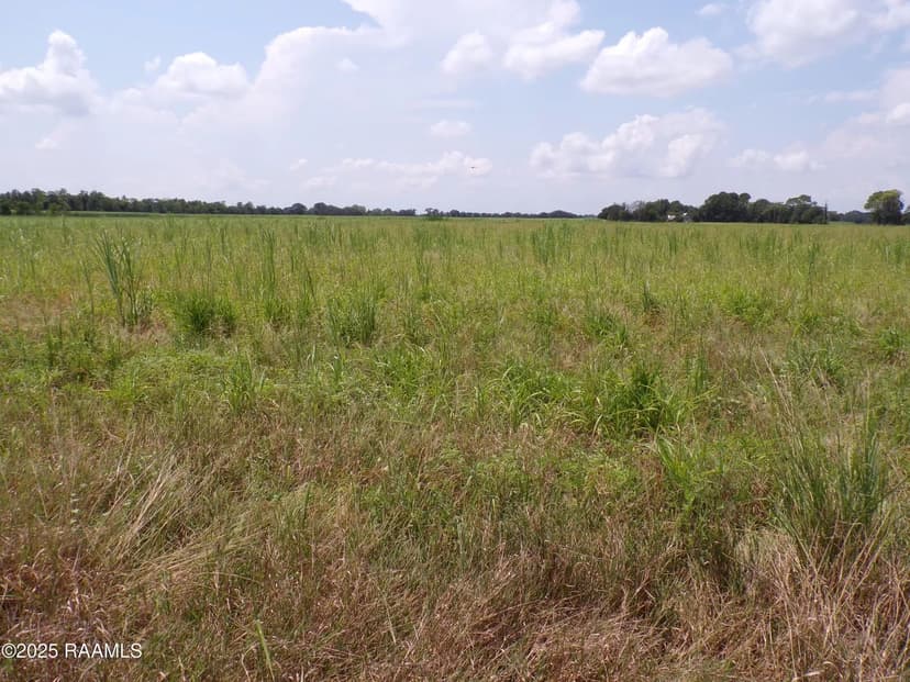 Property from 2000 Blk Sellers - KW