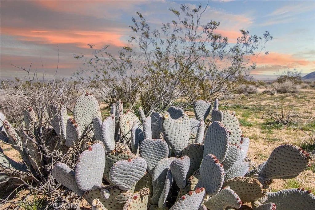 Lots & Land-Other in Landers - Landers, California, 92285