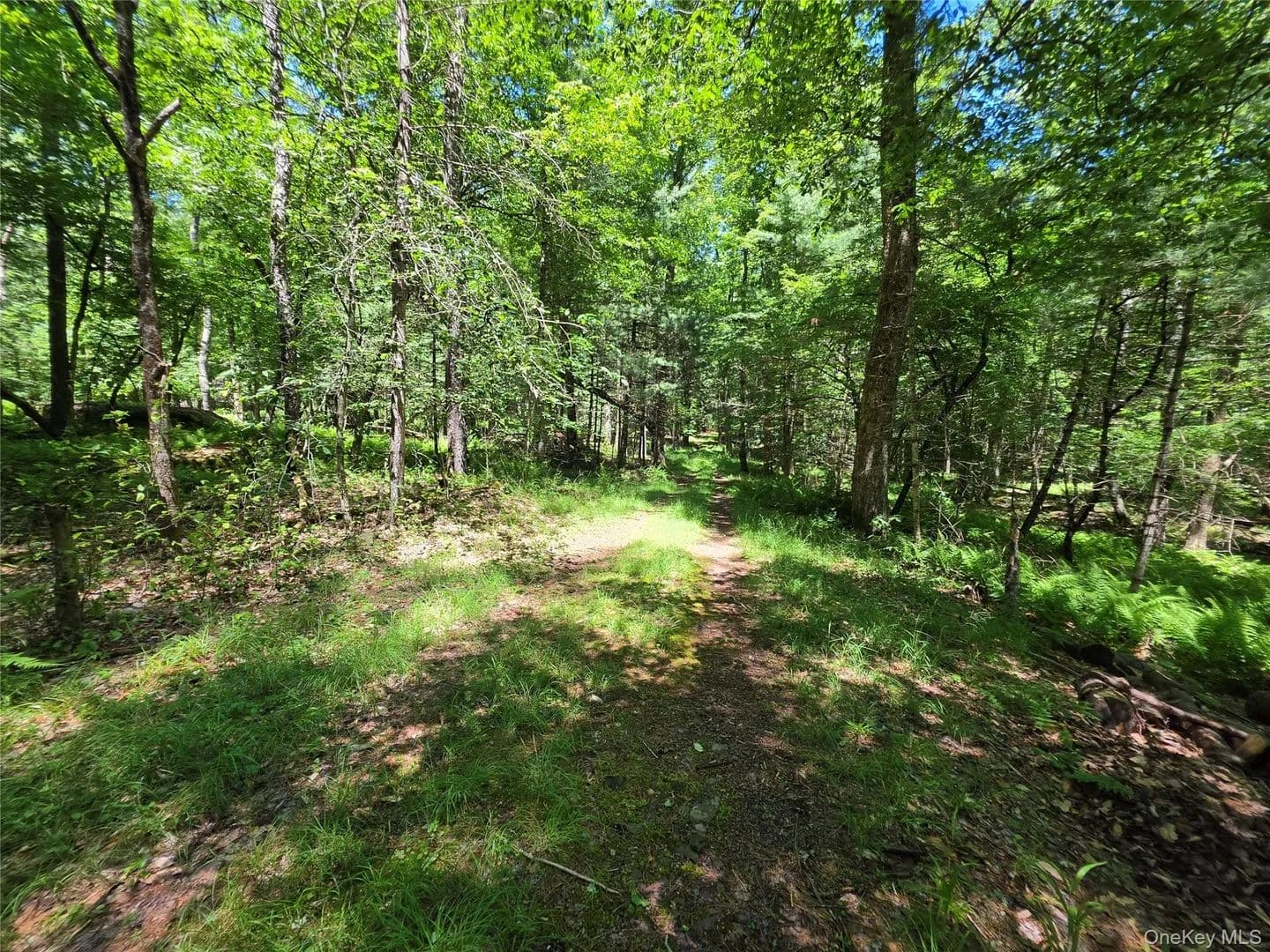Land for Sale in Monticello, NY - Monticello, New York, 12701