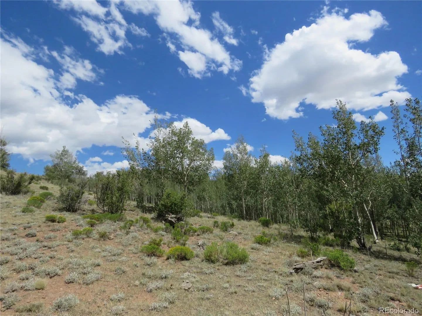 2 Acres of Land for Sale in Jefferson, CO - Jefferson, Colorado, 80456
