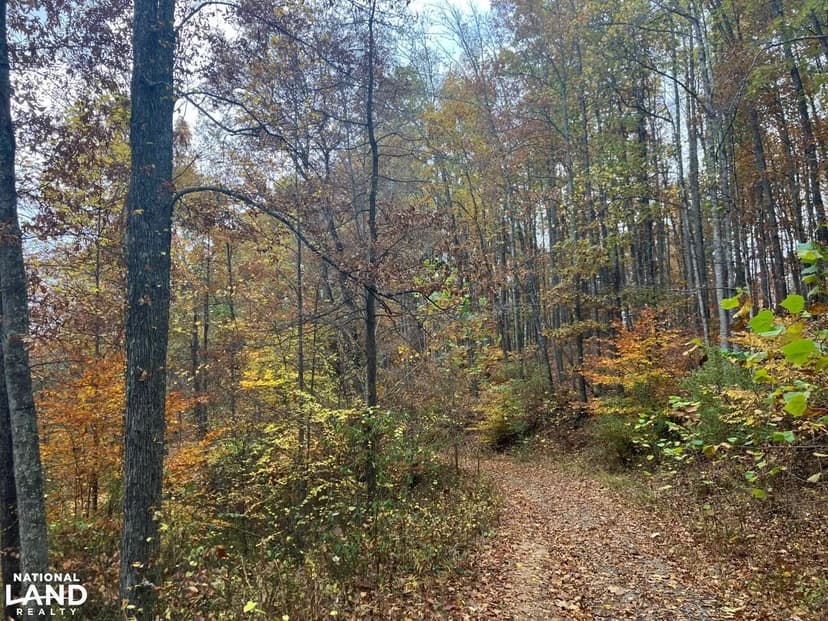 Unrestricted Mountain Acreage - Endless Possibilities