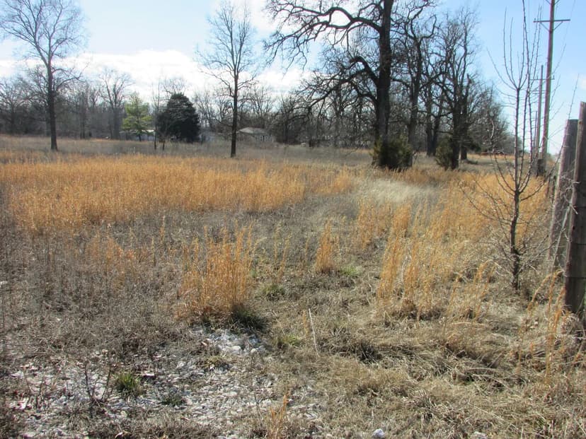 Lots & Land-Other in Joplin