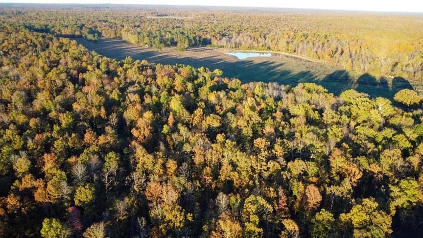 Remarkable 75+/- AC Property For Sale in Fairdealing, MO