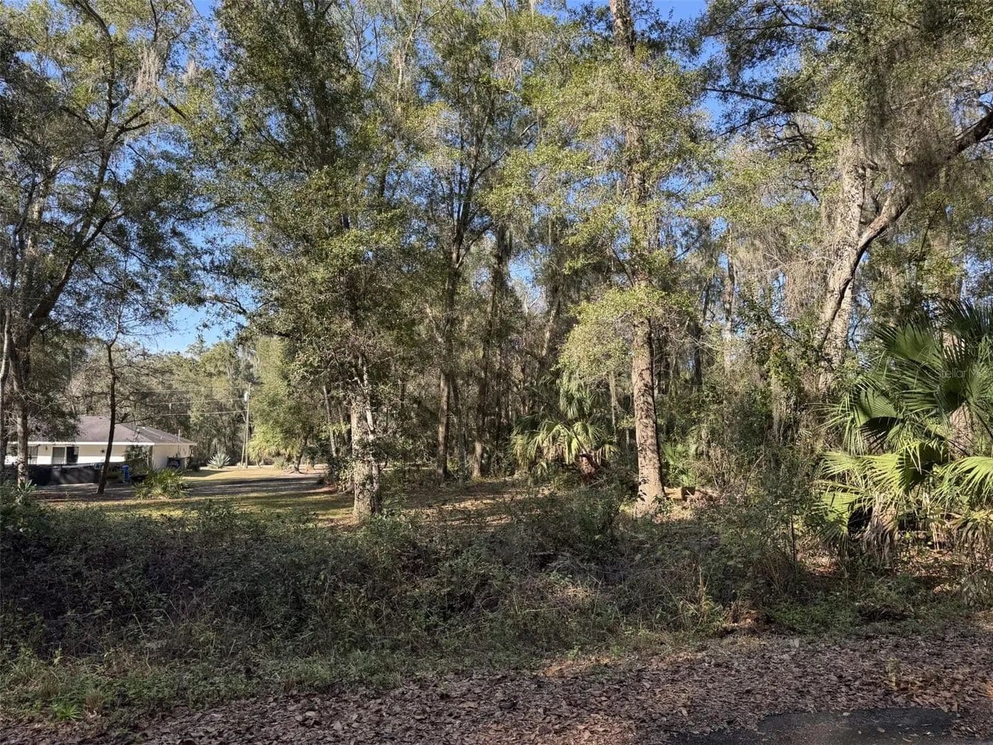 Lots & Land-Other in OCKLAWAHA - Ocklawaha, Florida, 32179