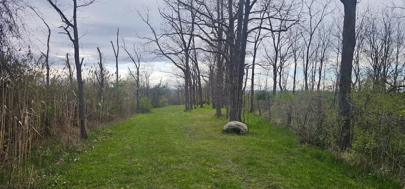 7 acre Recreational Property with Campsites bordering State Land in Ovid NY 7500 County Rd 131 in the Finger Lakes