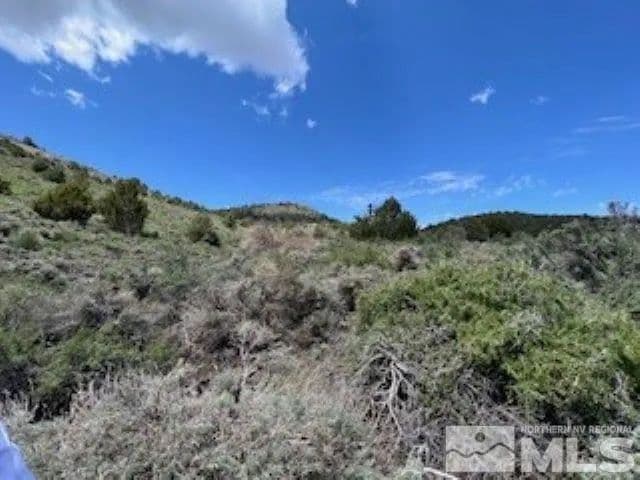Lots & Land-Other in Virginia City - Virginia City, Nevada, 89521