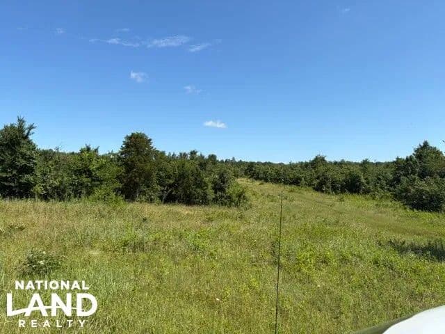 Herron Road 20± Acres - Ash Flat, Arkansas, 72513