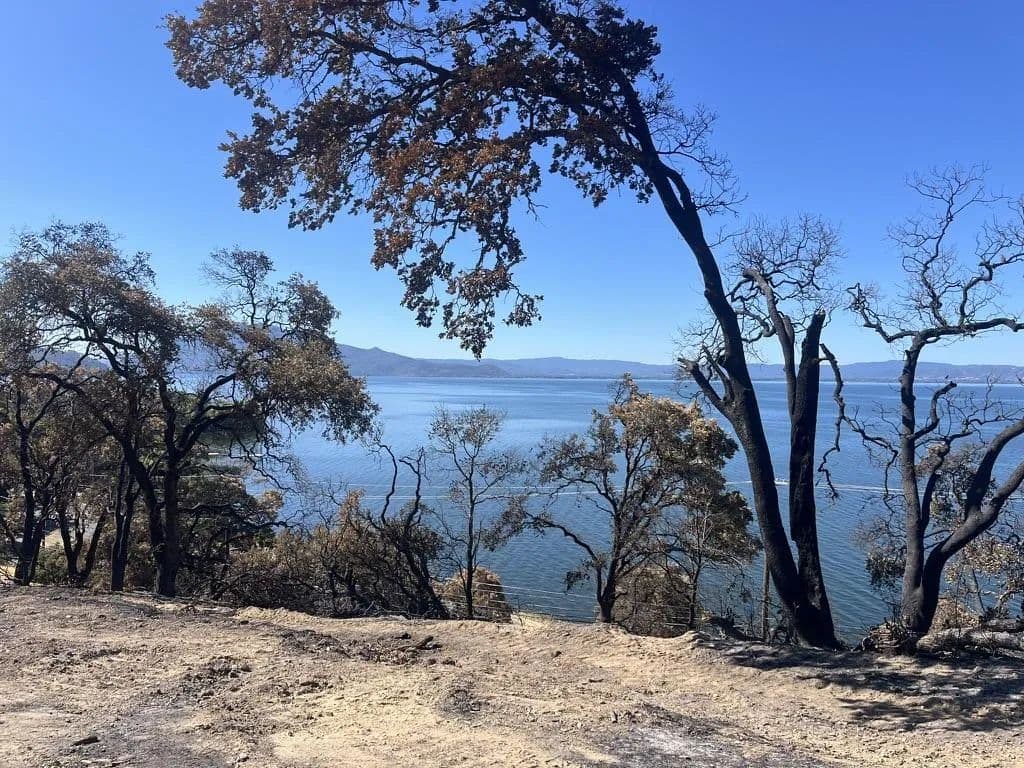 Vacant Land in Nice - Nice, California, 95464