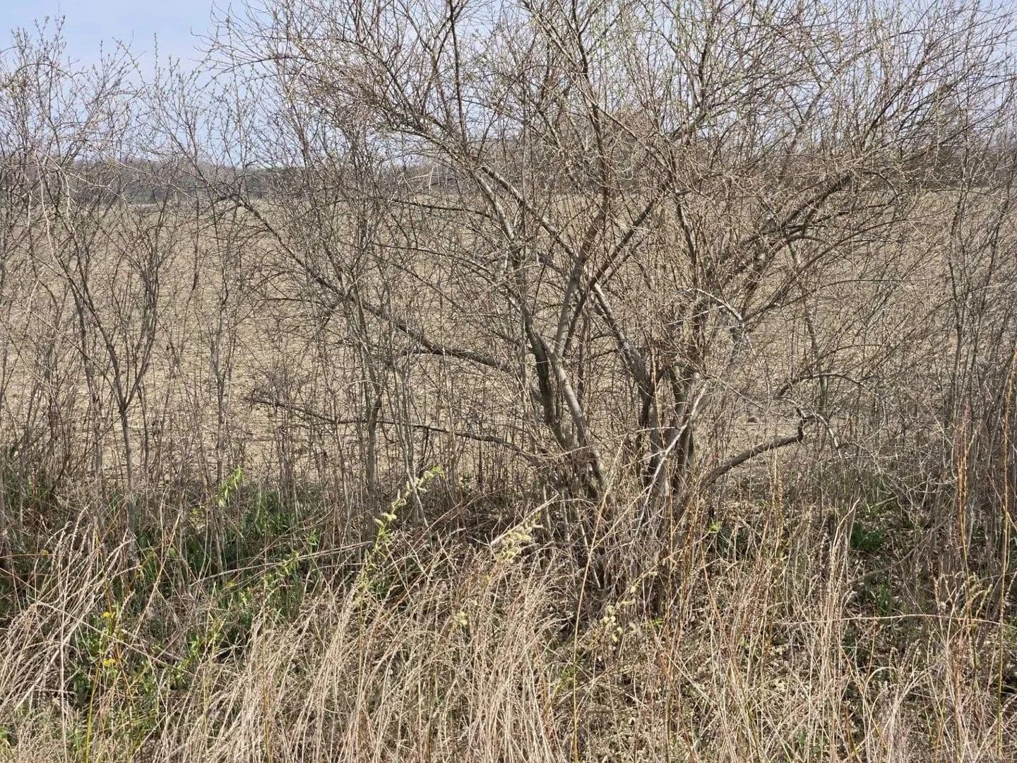 Lots & Land-Other in Richmond Twp - Michigan, 48063