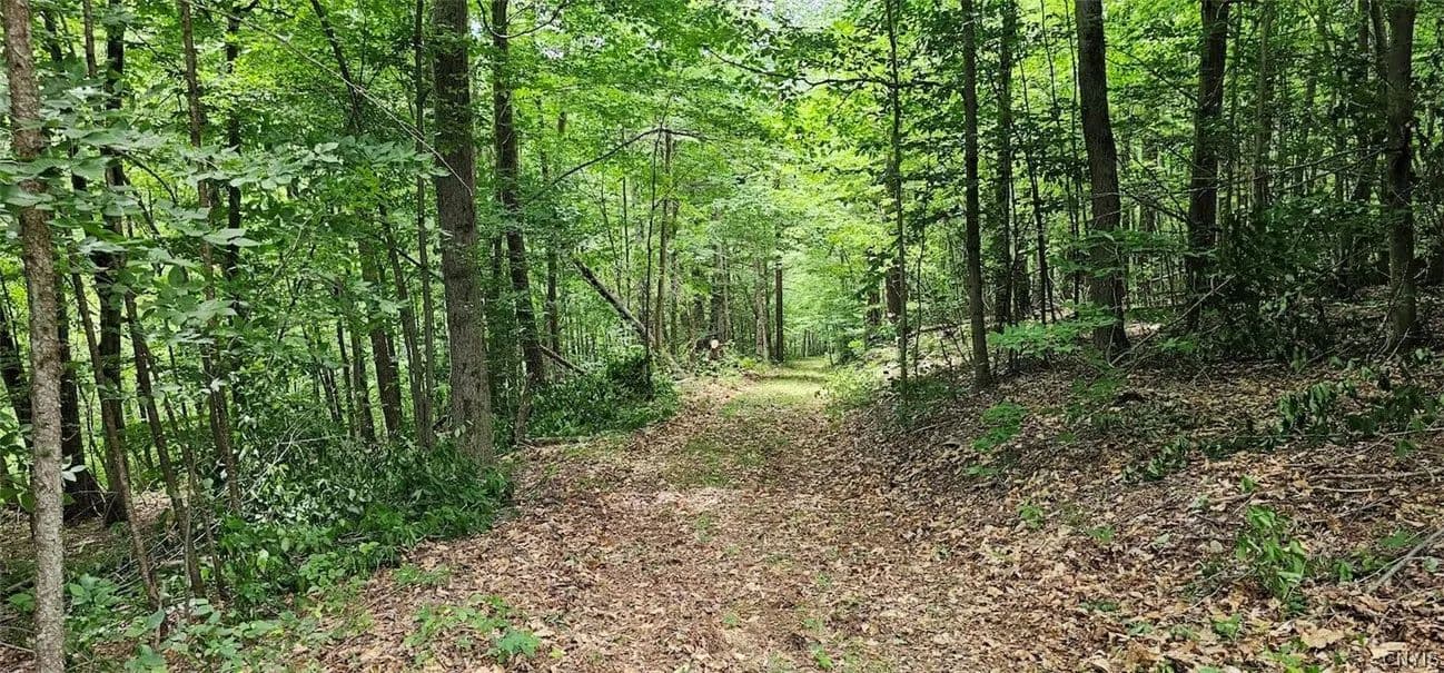 20 Acres of Land for Sale in Beaver Dams, NY - Beaver Dams, New York, 14812