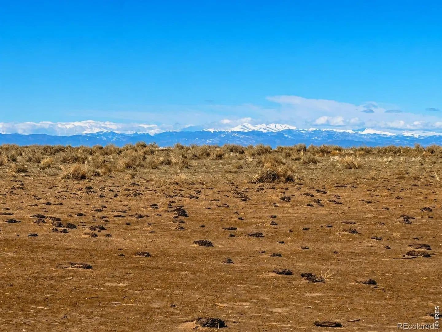 35 Acres of Land for Sale in Briggsdale, Colorado - Briggsdale, Colorado, 80611