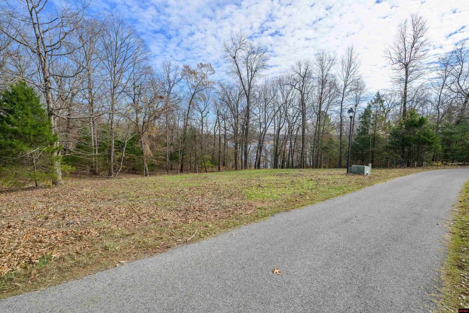 Lots & Land-Other in Bull Shoals - Bull Shoals, Arkansas, 72619