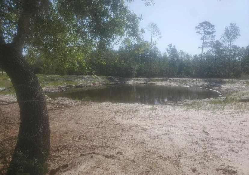 Vacant Land (10+ Acres) in Crescent City