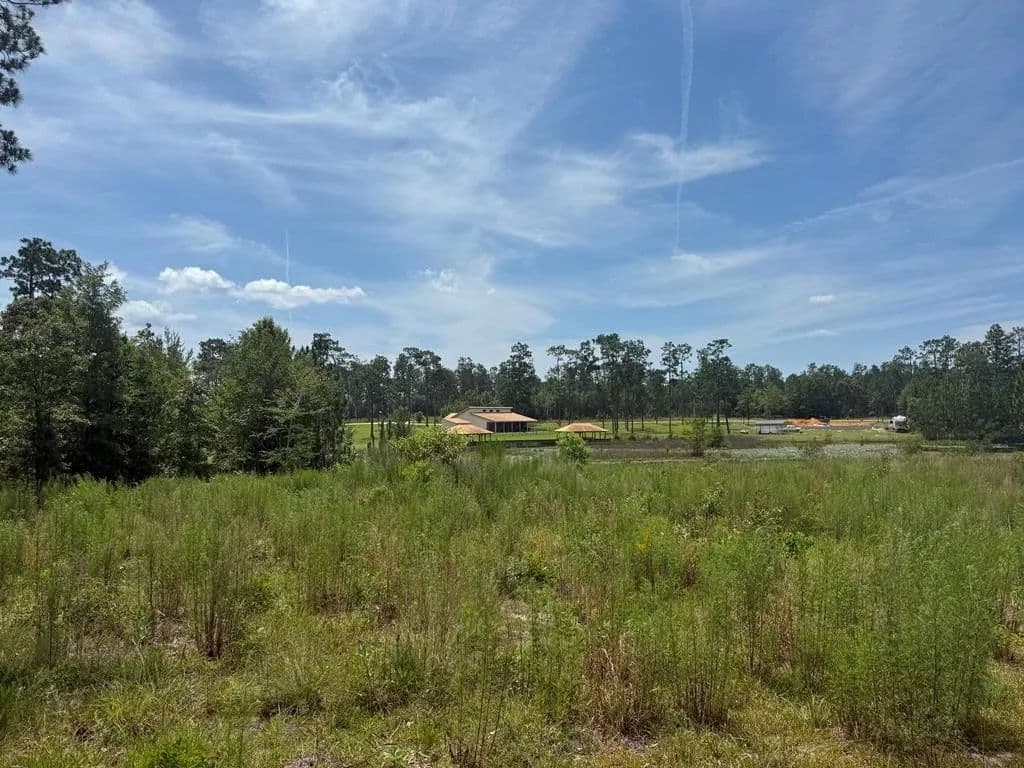 Lots & Land-Other in Donalsonville - Donalsonville, Georgia, 39845