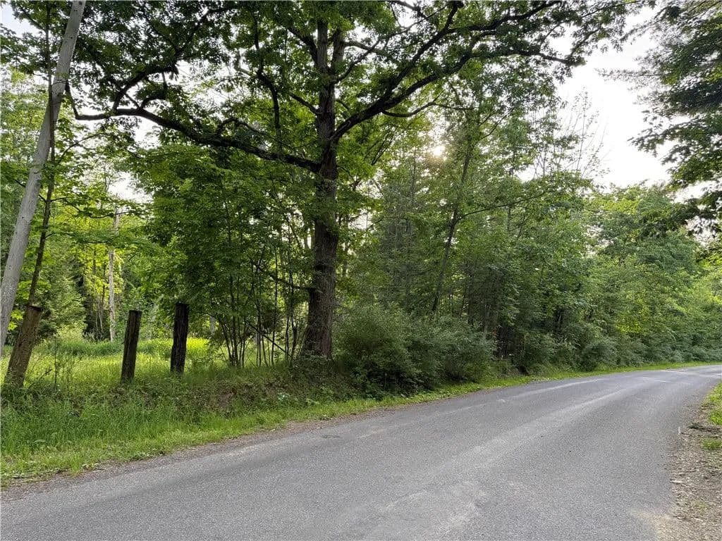 76.8 Acres of Land for Sale in Fillmore, NY - Fillmore, New York, 14735