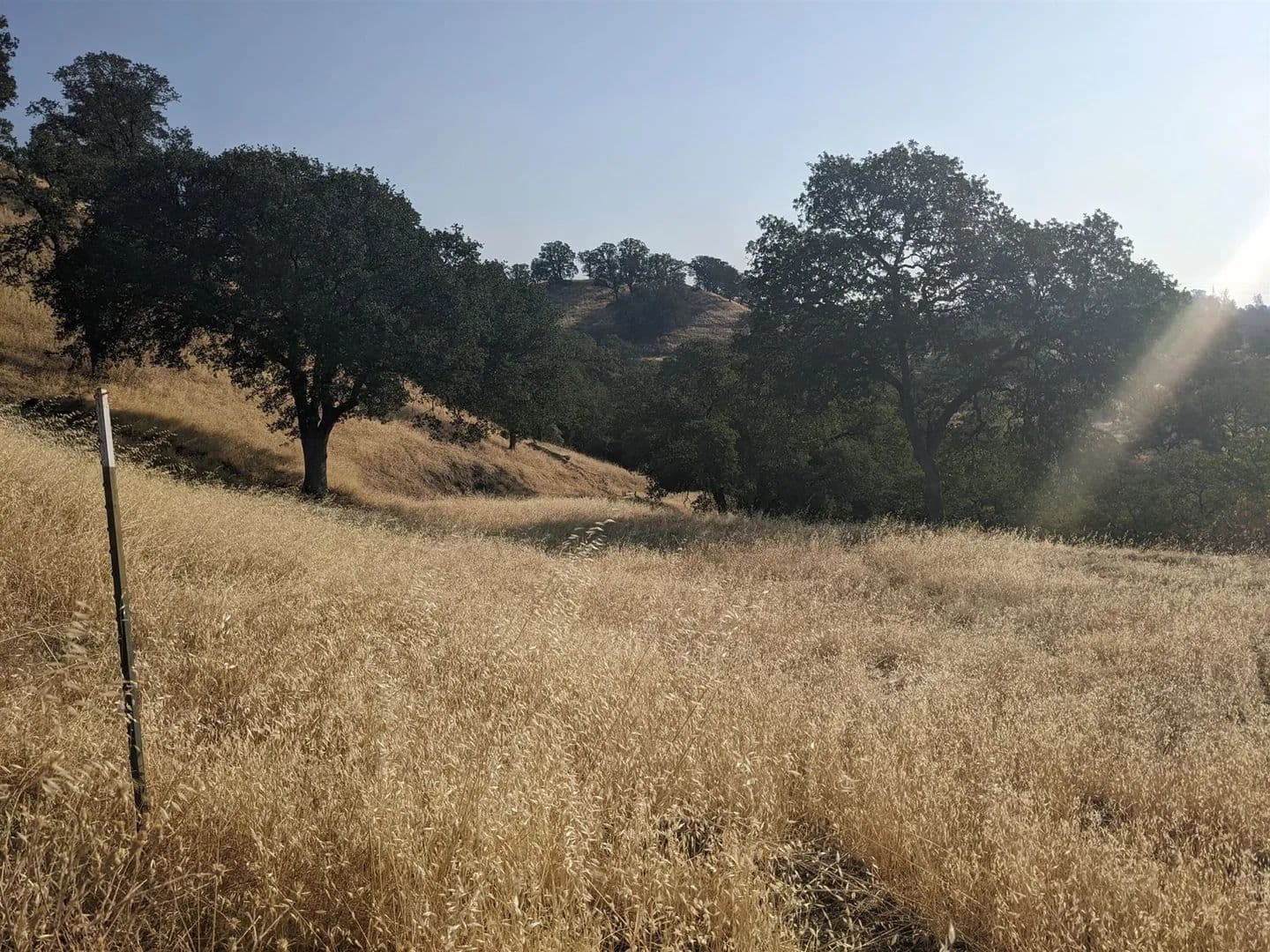 Vacant Land (0-10 Acres) in Cottonwood - Cottonwood, California, 96022