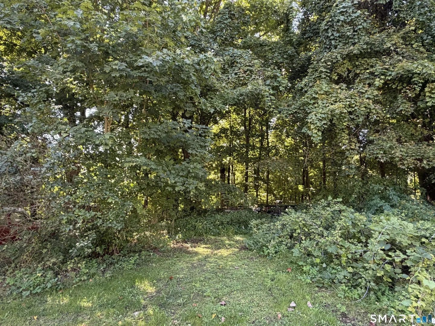 Lots & Land-Other in Naugatuck - Naugatuck, Connecticut, 06770