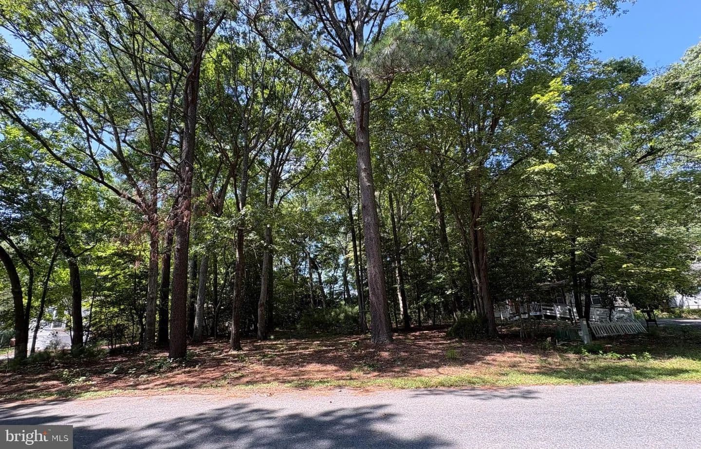 Vacant Land in Frankford - Frankford, Delaware, 19970
