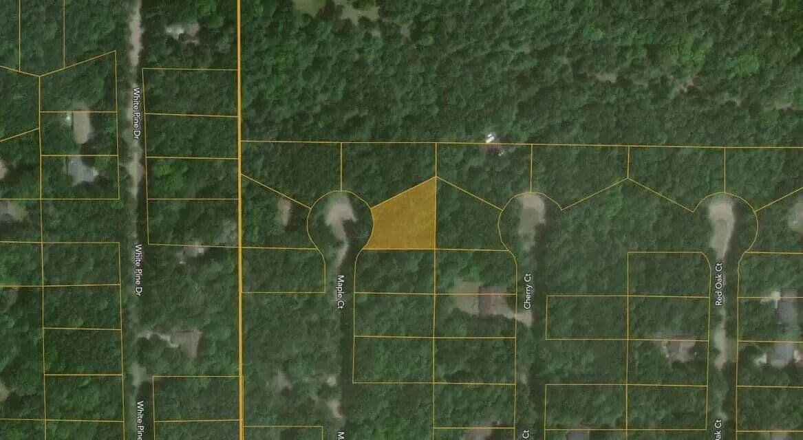 Lots & Land-Other in Canadian Lakes - Canadian Lakes, Michigan, 49346