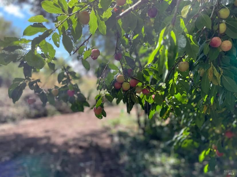 Vacant Land in Valley Ford
