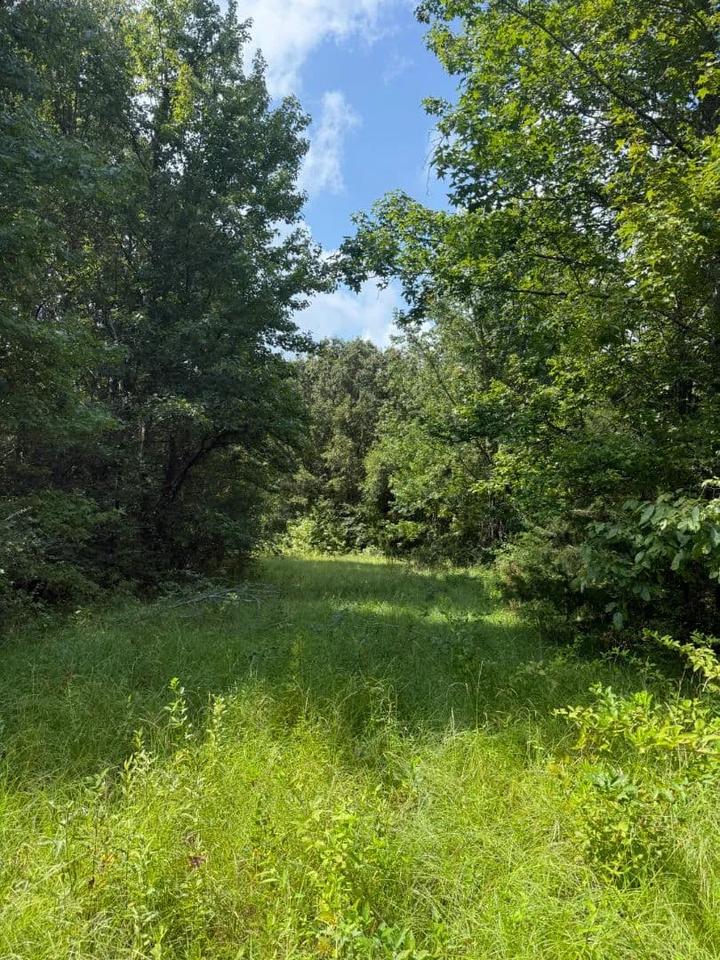43.2 Acres in Holmes County, MS  - Lexington, Mississippi, 39095