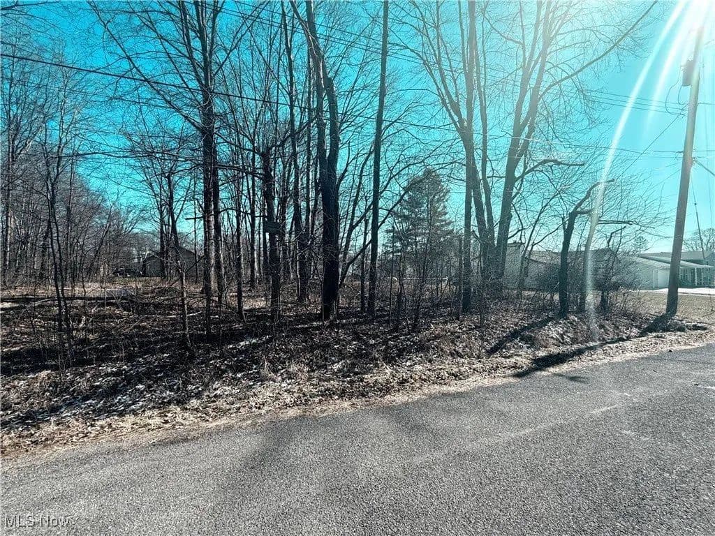 Lots & Land-Other in Rootstown - Rootstown, Ohio, 44266