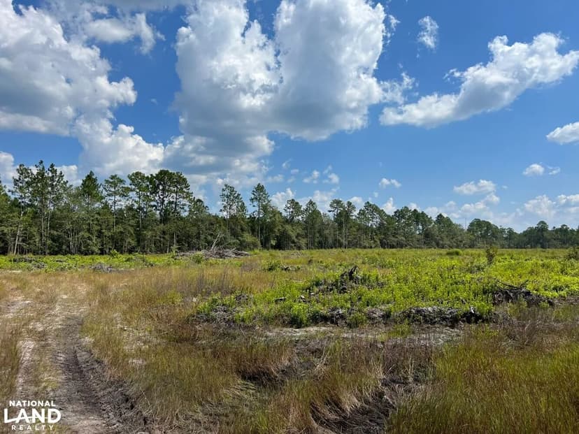 Miller Wells Tract